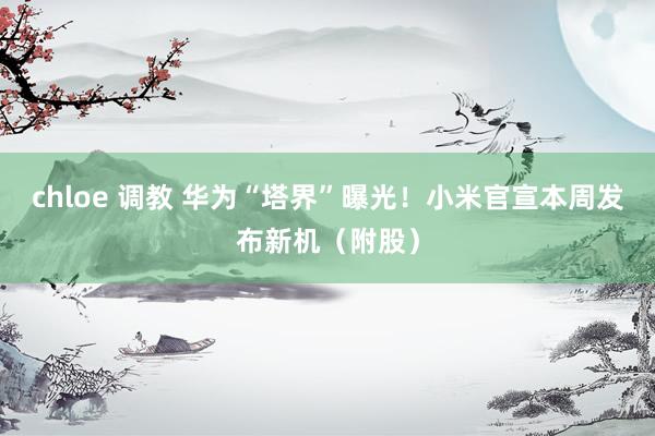 chloe 调教 华为“塔界”曝光！小米官宣本周发布新机（附股）