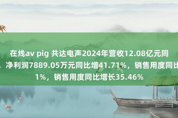 在线av pig 共达电声2024年营收12.08亿元同比增21.06%，净利润7889.05万元同比增41.71%，销售用度同比增长35.46%
