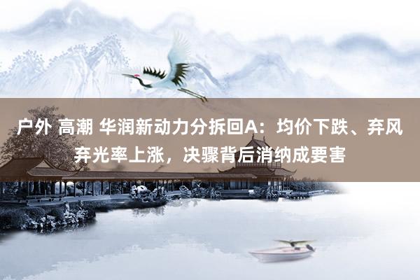 户外 高潮 华润新动力分拆回A：均价下跌、弃风弃光率上涨，决骤背后消纳成要害