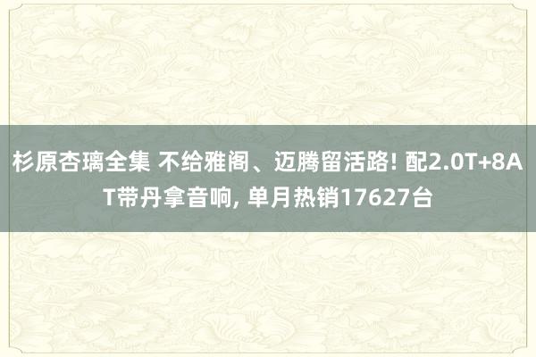 杉原杏璃全集 不给雅阁、迈腾留活路! 配2.0T+8AT带丹拿音响， 单月热销17627台