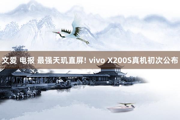 文爱 电报 最强天玑直屏! vivo X200S真机初次公布