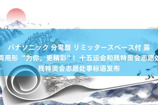 パナソニック 分電盤 リミッタースペース付 露出・半埋込両用形 “为你，更精彩”！十五运会和残特奥会志愿处事标语发布